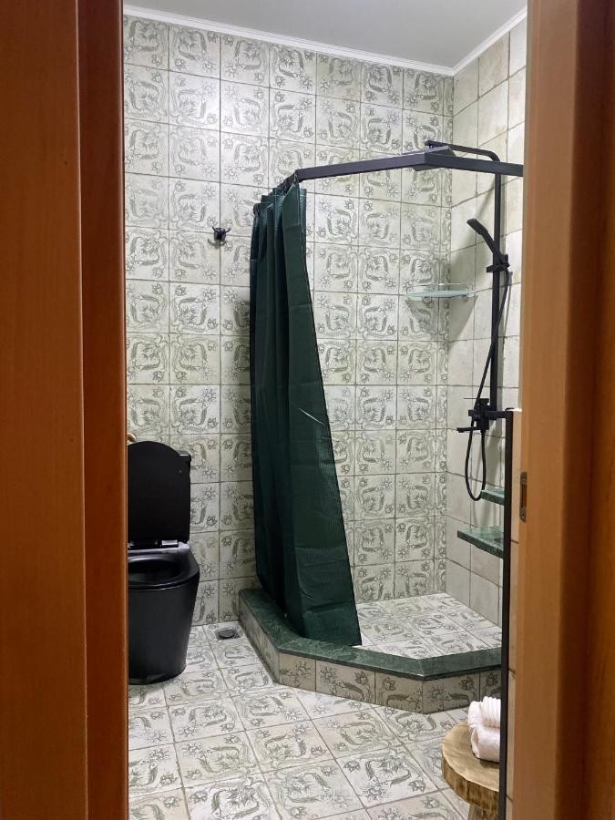 Guesthouse Shampriani Mestia Exteriör bild