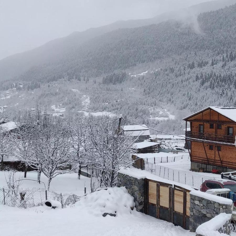 Guesthouse Shampriani Mestia Exteriör bild